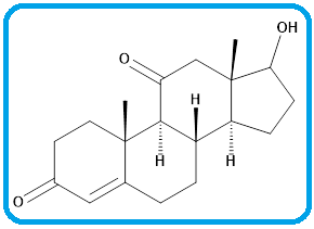 11-KETOTESTOSTERONE